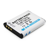 Батареи для Sanyo DB-L80AU